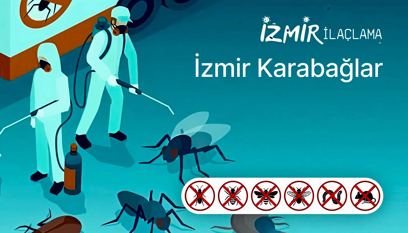 İzmir Karabağlar İlaçlama